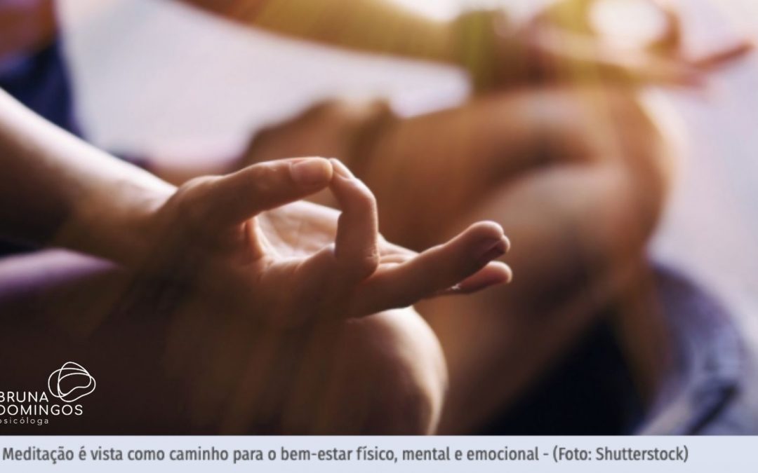 Portal Ludovica – Mindfulness ganha adeptos